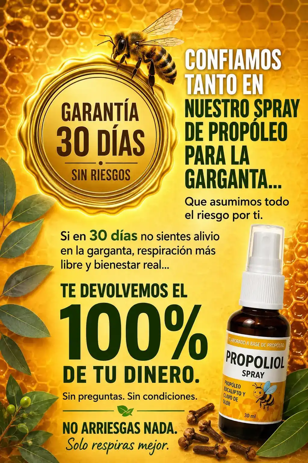 Imagen 6