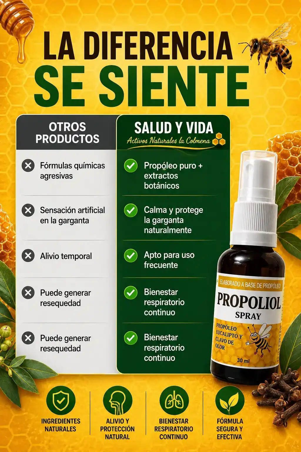 Imagen 7