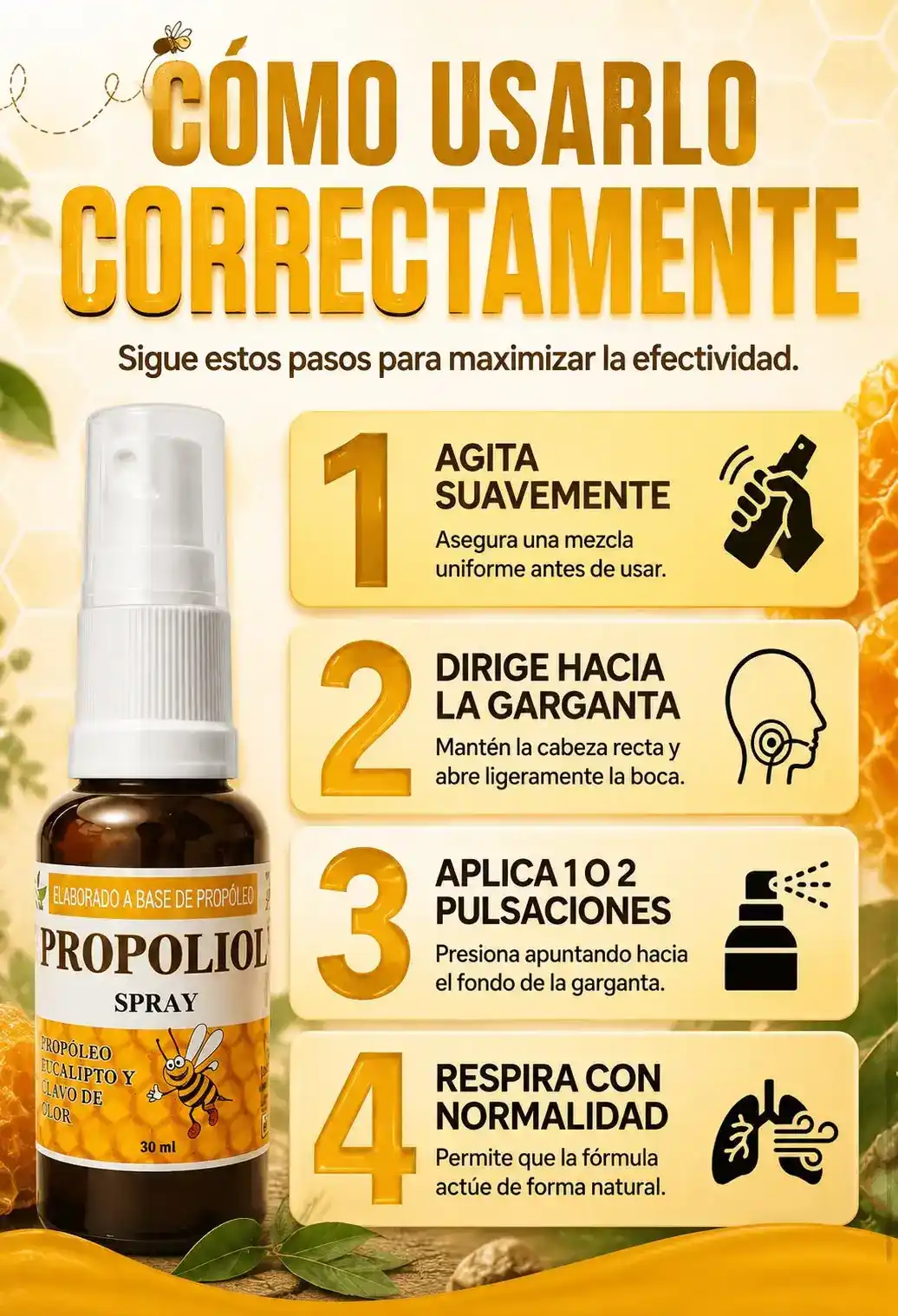 Imagen 8