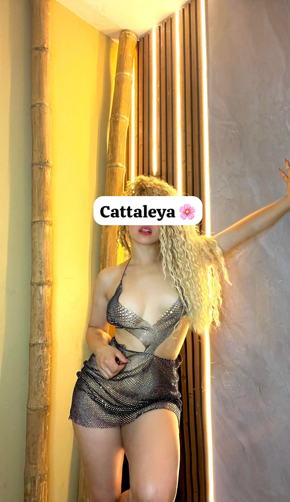 CATTALEYA